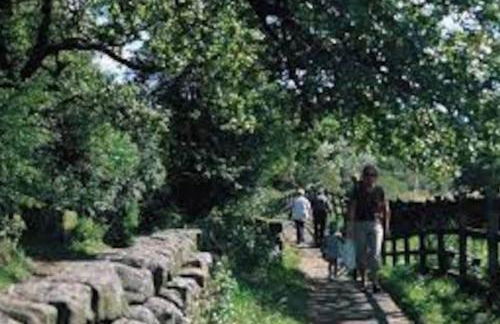 Rita's Roost, Lancs, tranquil with amazing views - Foto 11