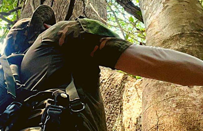 Trilha pela flora e fauna amazônica em Rio Branco - Foto 1