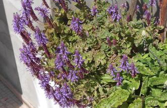 Moradias Ode - Photo 42