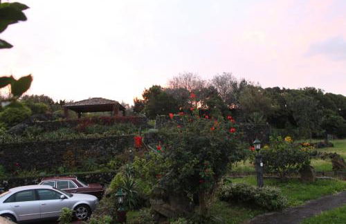 Quinta dos Afectos - Photo 22