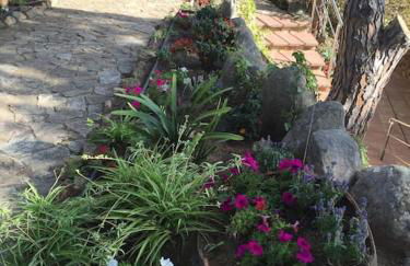 Villa Mitjorn Cala Canyelles - Foto 70