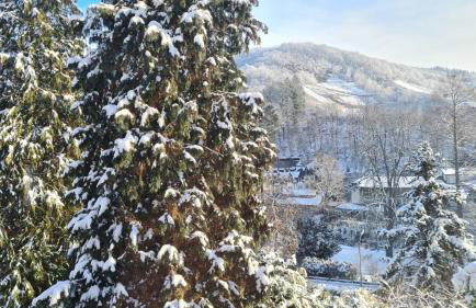 Waldhaus zum gechillten Hirsch in der Natur, bei der Moseltherme Traben-Trarbach - Foto 42