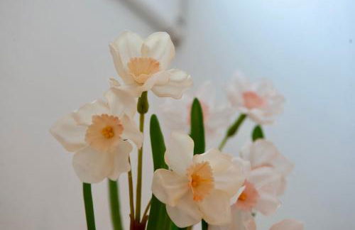 Casita Mirasol - Foto 20