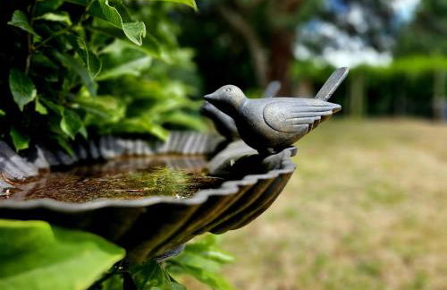 Queen Anne Cottage - Foto 52