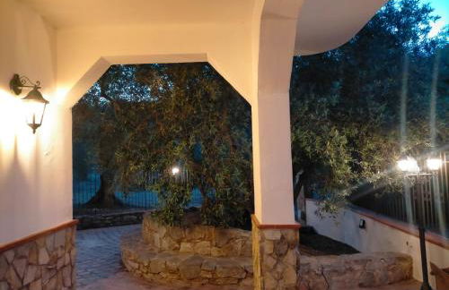 Menzel el Emir - Foto 41