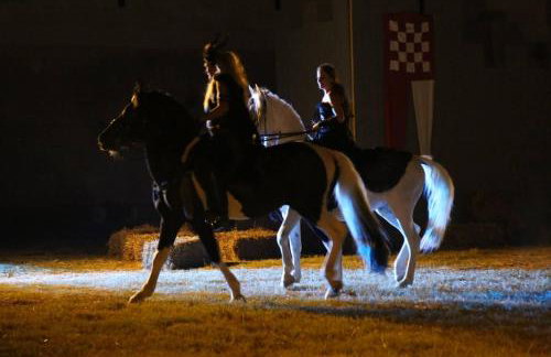 Holiday house Barba - Vrana - Foto 57