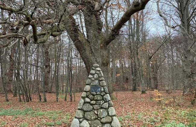 4 Person Holiday Home in Faxe Ladeplads-by Traum - Foto 13