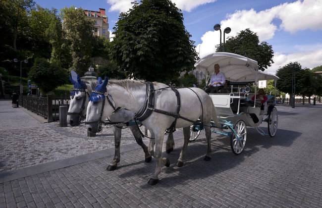 Apartment Karla Capka Street - Foto 58