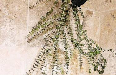 Clarity Cabin A-Frame Sanctuary w Hot Tub Fireplace Grill AC Hammock Chairs Fire Pit Pets OK - Foto 23