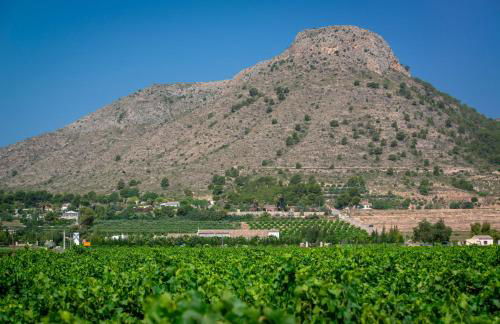 Bellevall resort, hotel y apartamentos - Foto 17