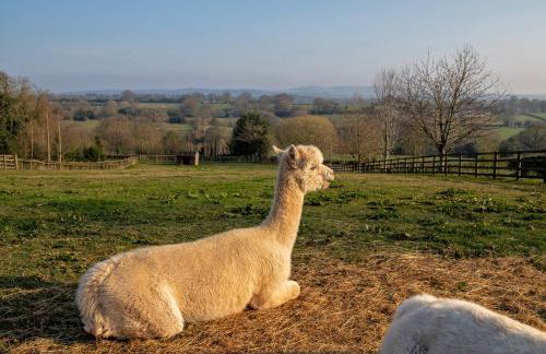 Charlie's Cottage with Alpacas and 7mins drive to Alton Towers - Foto 5