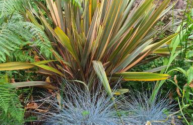 Park House Matlock - Foto 50