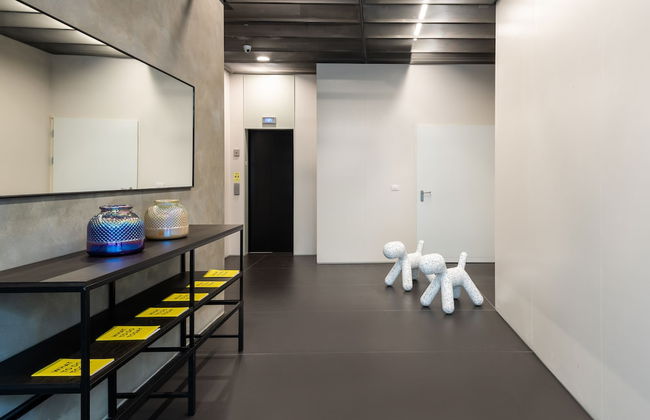 master Shenkin - Foto 2