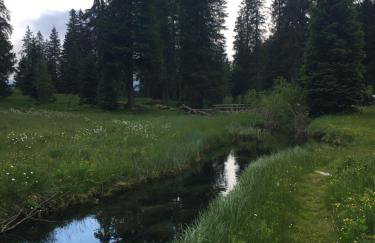 Sul cucuzzolo - Foto 72