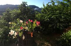 Appartamento Marina - Foto 22