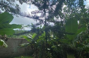 Chácara Gomes - Caiubura - Bertioga - Foto 57