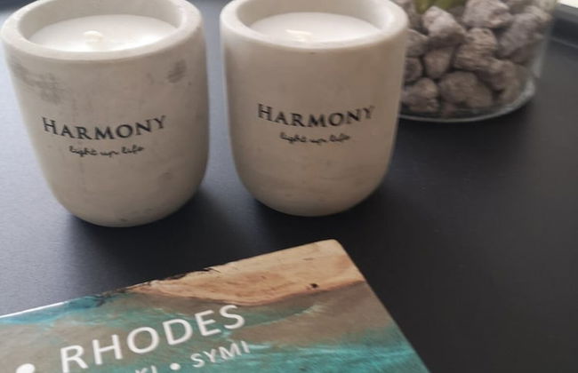 Harmony Elegant Central Apartment - Foto 22