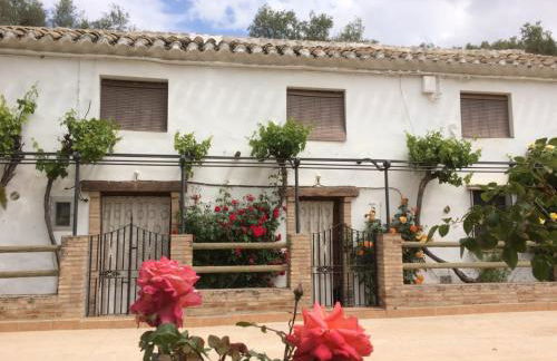 Alojamiento Rural Los Limones - Foto 13