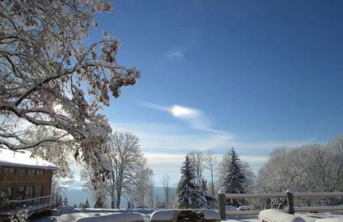 GutsAlm Harlachberg - Foto 18