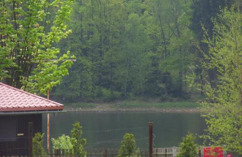 Domki Nad Jeziorem Karłowice - Foto 37