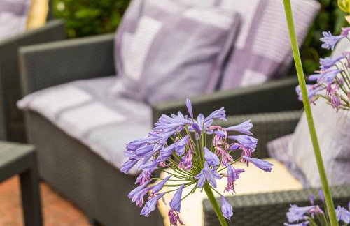 Can Fogars - Foto 10