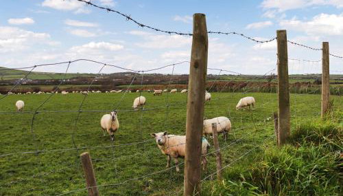 The Crog Loft - Uk45652 - Foto 3