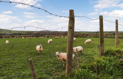 The Crog Loft - Uk45652 - Foto 3