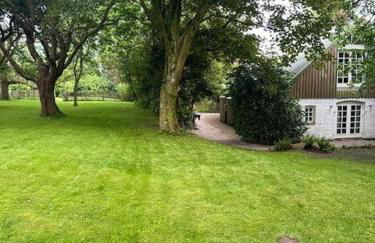 Lille Skov - Foto 20