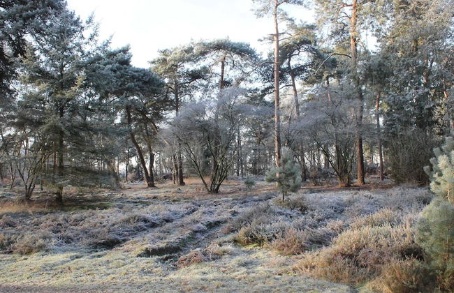 Cosy Holiday Home in Maarheeze With Verandah - Foto 52