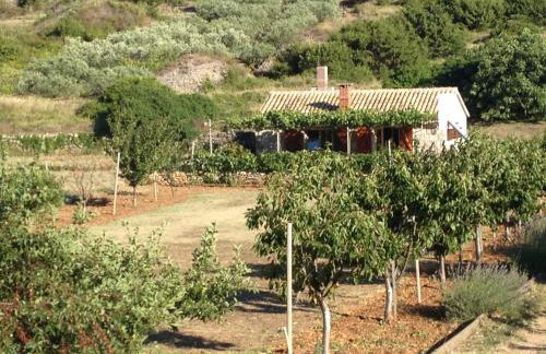 Country House Speedy - Foto 23