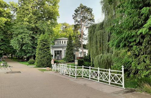 Green Ravine - Foto 20