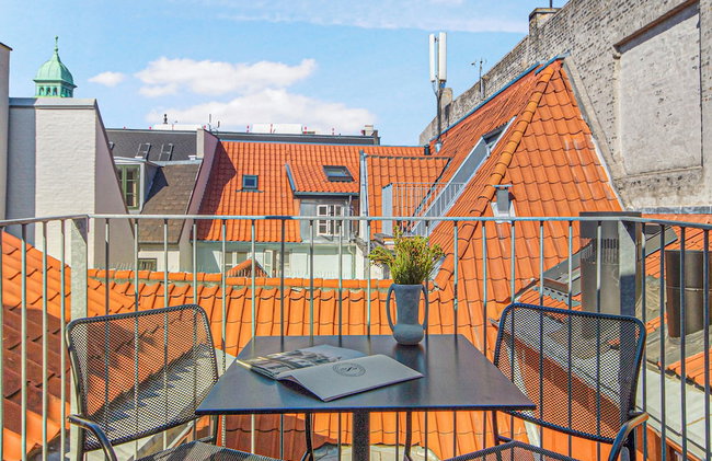 Regent 5 - Large Apt With Terrace Right in Centre of Copenhagen - Foto 24