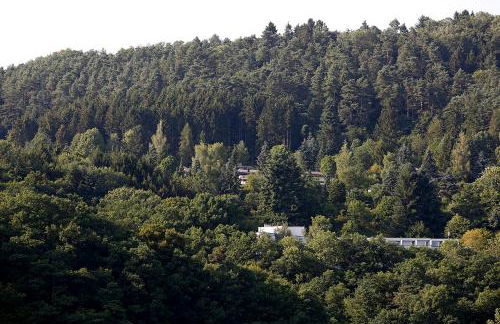 Landhaus Wald und See Nr. 35 - Foto 17