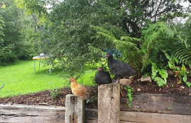 Charming Barn Conversion - Idyllic Rural Retreat- Pet Friendly - Foto 42