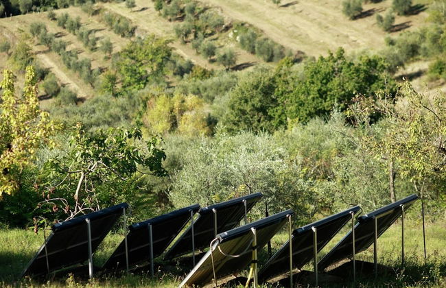 Holiday Home in Chianti With Pool & Sauna - Foto 17