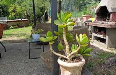 La Gesualda locazione turistica - Foto 44