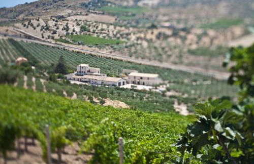 Azienda Agricola Mandranova - Foto 6