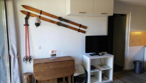 Studio Cabine RDC Pied des Pistes - Foto 5