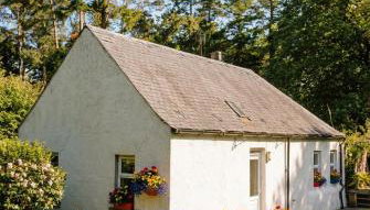 Woodland house - Foto 2