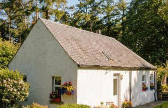 Woodland house - Foto 2