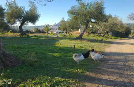bungalow entre mer et montagne - Foto 7