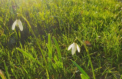 1Step2AllNature Tinyhouse - Foto 53