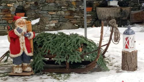 Les Chevreuils - Photo 3