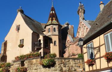 Fleur de Vigne - Foto 55