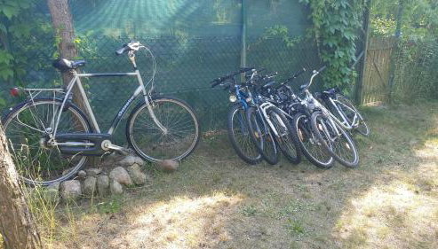 domki domek na jeziorem Wilczyńskim Budzisławskim , las, osobno ogrodzony 2-6 osób- klimatyzacja, ogrzewanie, 62-550 Zygmuntowo gm Wilczyn - Foto 5