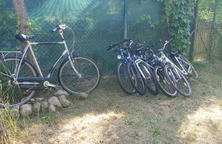 domki domek na jeziorem Wilczyńskim Budzisławskim , las, osobno ogrodzony 2-6 osób- klimatyzacja, ogrzewanie, 62-550 Zygmuntowo gm Wilczyn - Foto 5