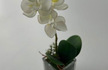 Flat Por do Sol - Foto 19