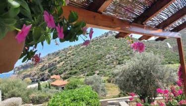 Emma's HOUSE near beach - Foto 4, Garden, Garden view