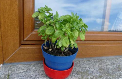 Bushof - Leben auf dem Land - Foto 24