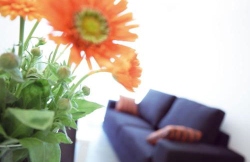 08028 Apartments - Photo 12